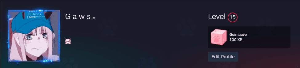 如何在 2024 年以便宜且轻松的方式将 Steam 从零升级到 SteamLevelU？
